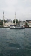 Image_1_small