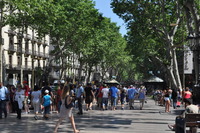 Spain Spain Spain Центральная улица Барселоны La Rambla