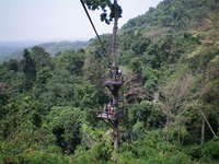 Мое знакомство с Паттайей (Тайланд) Полет Гиббона - это незабываемая экстрим-экскурсия на тросах над джунглями