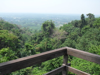 Мое знакомство с Паттайей (Тайланд) Полет Гиббона - это незабываемая экстрим-экскурсия на тросах над джунглями