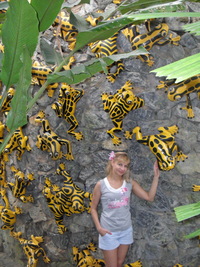 Мое знакомство с Паттайей (Тайланд)  Парк Нонг Нуч - неповторимые уголки, куда хочется еще вернуться