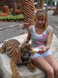 Мое знакомство с Паттайей (Тайланд)  Парк Нонг Нуч - неповторимые уголки, куда хочется еще вернуться