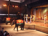 Мое знакомство с Паттайей (Тайланд)  Парк Нонг Нуч - неповторимые уголки, куда хочется еще вернуться