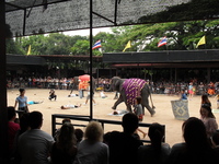 Мое знакомство с Паттайей (Тайланд)  Парк Нонг Нуч - неповторимые уголки, куда хочется еще вернуться