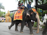 Мое знакомство с Паттайей (Тайланд)  Парк Нонг Нуч - неповторимые уголки, куда хочется еще вернуться