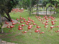 Мое знакомство с Паттайей (Тайланд)  Парк Нонг Нуч - неповторимые уголки, куда хочется еще вернуться